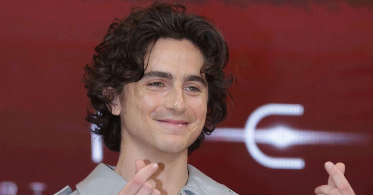 timothee chalamet stricken with fear