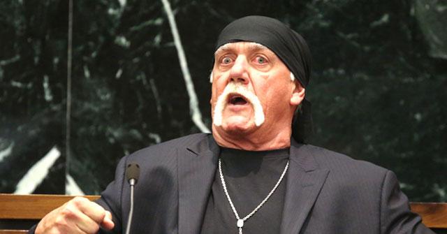 //hulk hogan sex tape lawsuit punitive damages pp