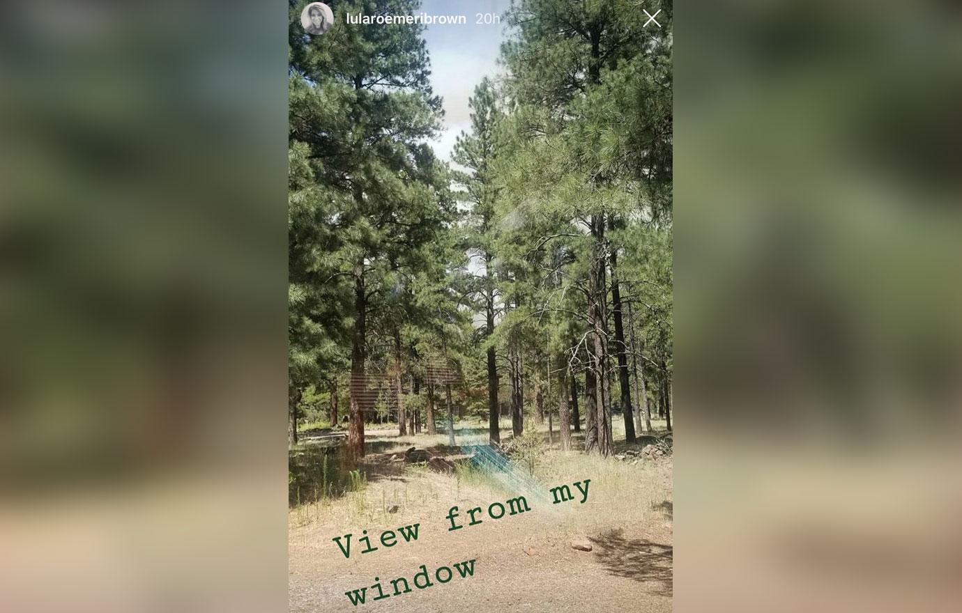 Screenshot of Meri Brown's IG Story Photo Trees