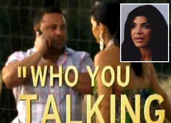 //teresa mad joe giudice phone