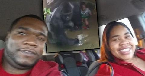 Cincinnati Zoo Gorilla Harambe Killed Boy Fell Parents
