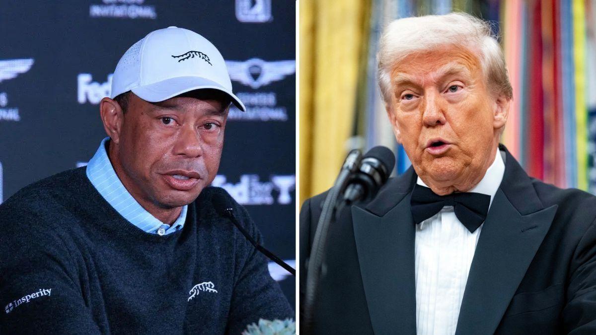 tiger woods. donald trump