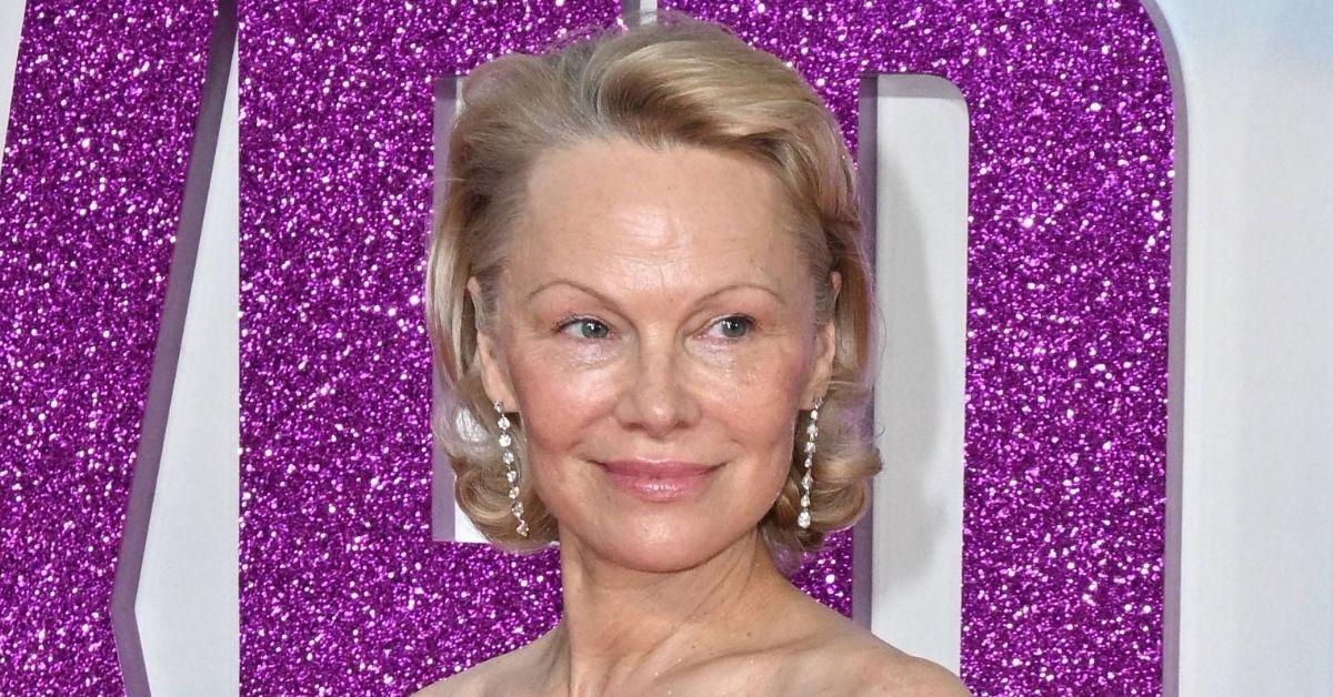 Picture of Pamela Anderson