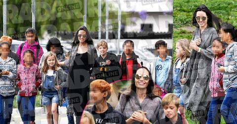 Angelina Jolie Divorce Kids Adopting