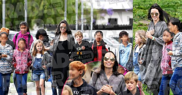 Angelina Jolie Divorce Kids Adopting