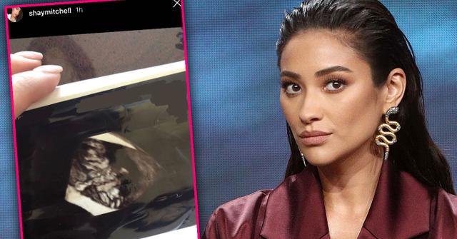 Pretty Little Liars Star Shay Mitchell Suffers A Miscarriage
