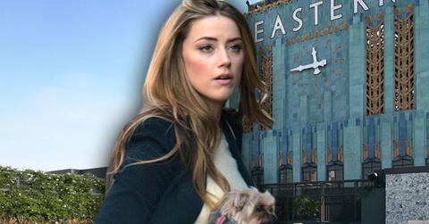 //amber heard johnny depp divorce demands