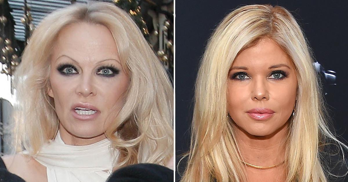 Pamela Anderson s Rivalry With Baywatch Co-Star Donna D Errico