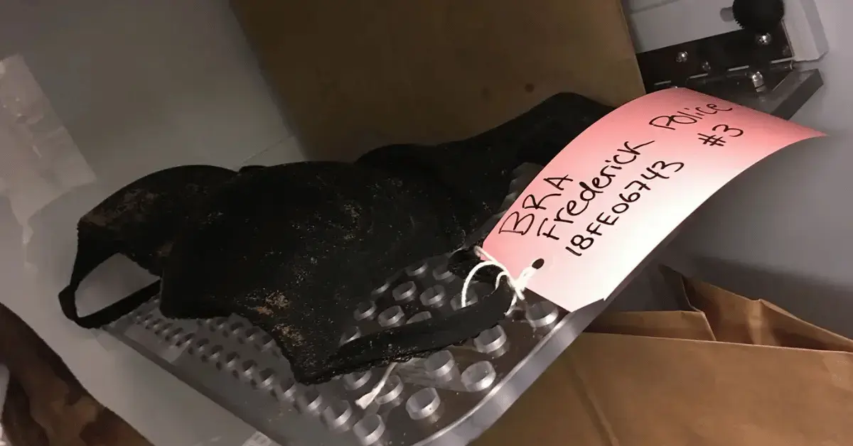 Photo of evidence