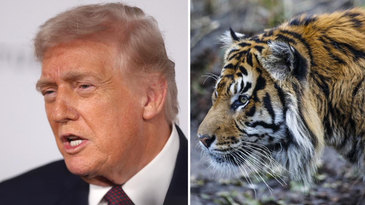 Trump posted footage from the fatal attack on Truth Social.
