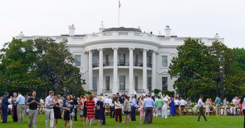 german shepherd commander