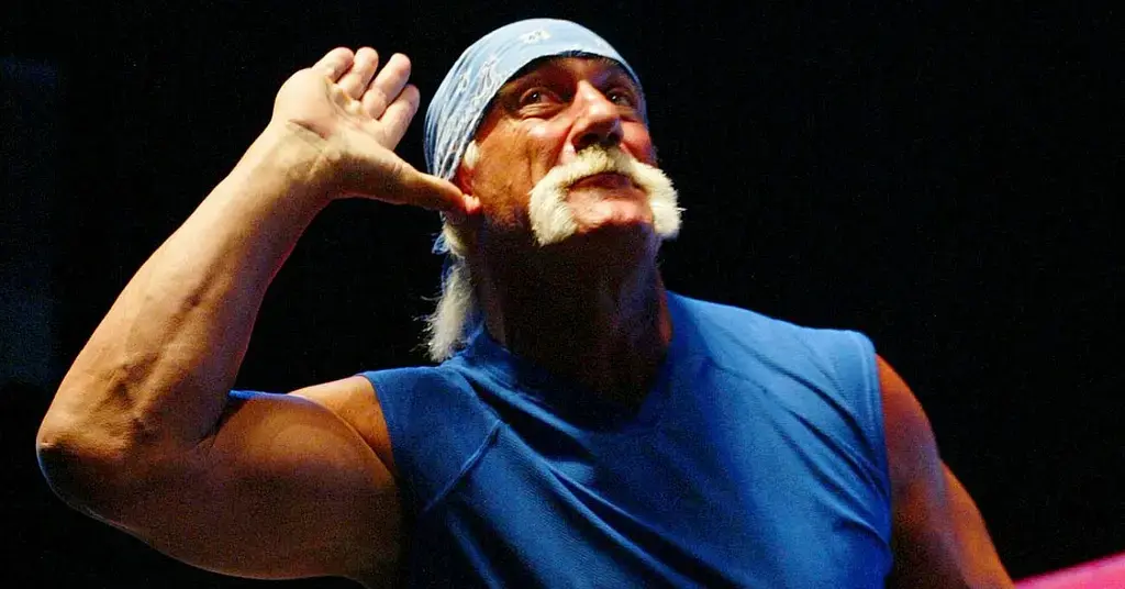 hulk hogan last days wwe no interest meeting daughter brooke twin girls