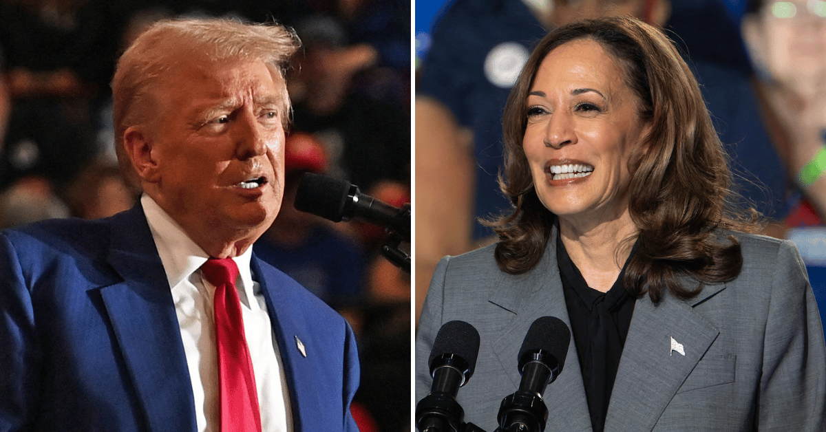 Composite photo of Donald Trump, Kamala Harris