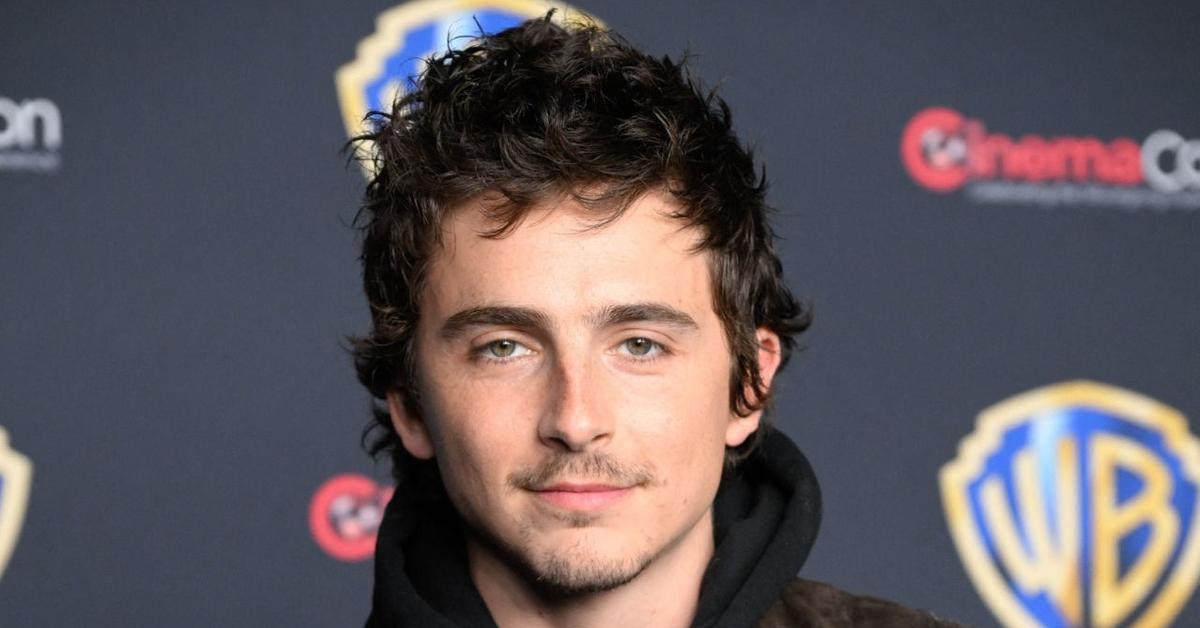 EXCLUSIVE: Is Hollywood Falling Out of Love With Timothée Chalamet?