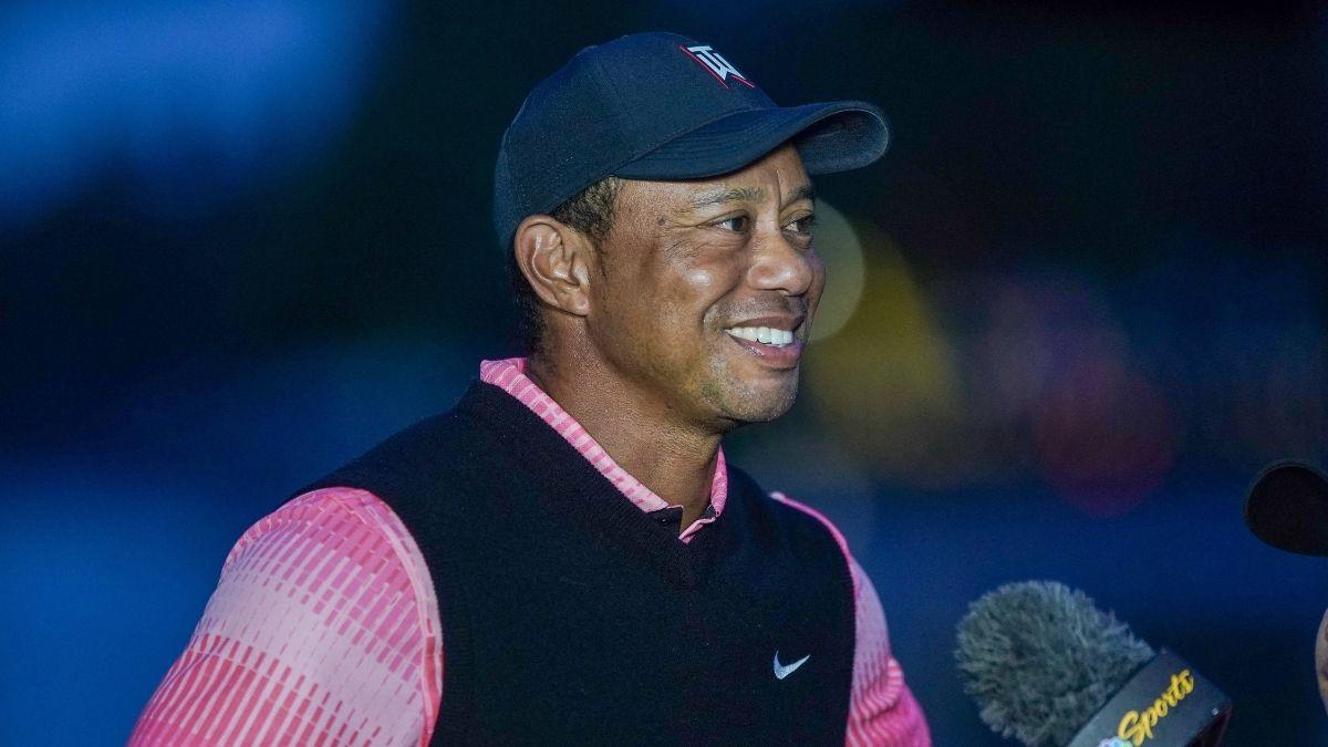 picture of Tiger Woods