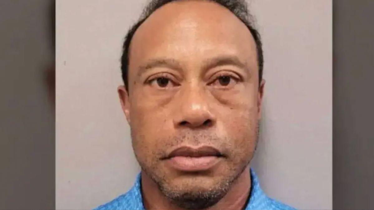 Mugshot of Tiger Woods