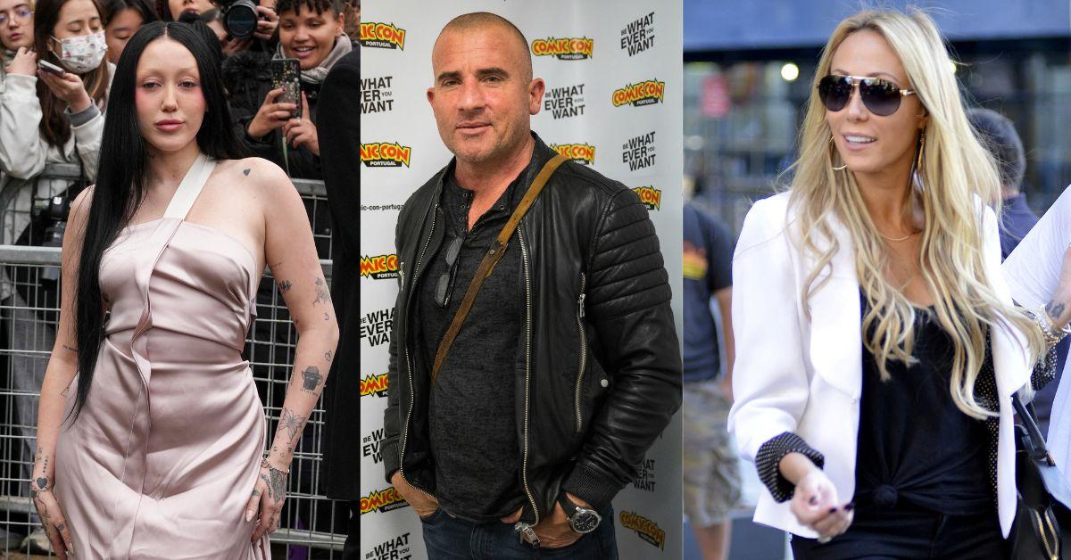 tish cyrus husband dominic purcell despises reuniting billy ray