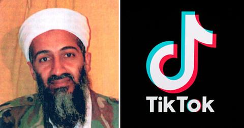 bin laden tik tok letter to america pp