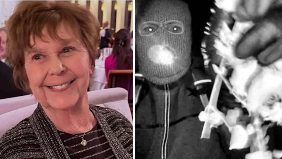 Photo of Nancy Guthrie and suspect