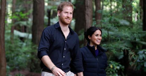 Meghan Markle & Prince Harry Pheasant Shoot