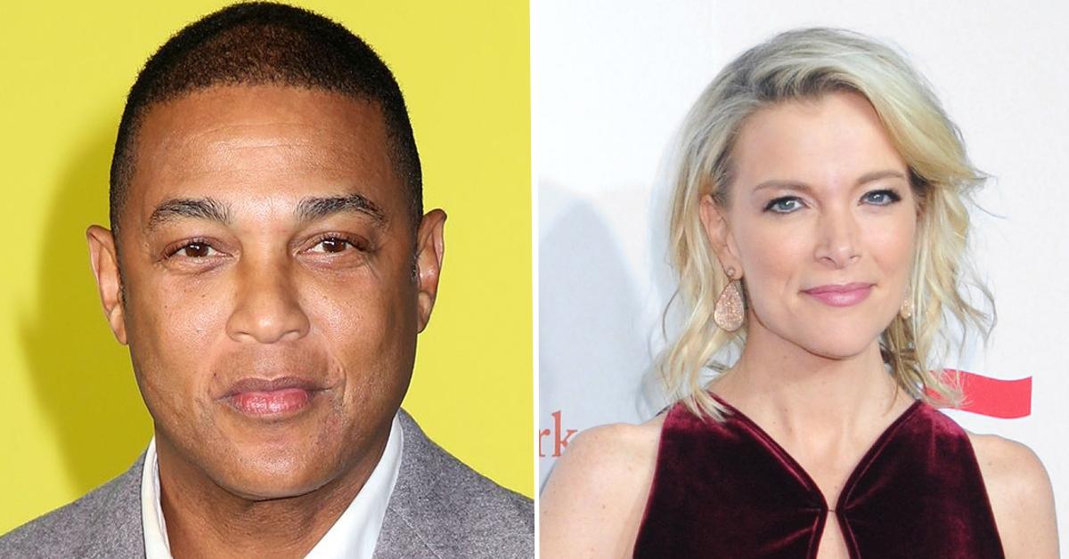 don lemon megyn pp