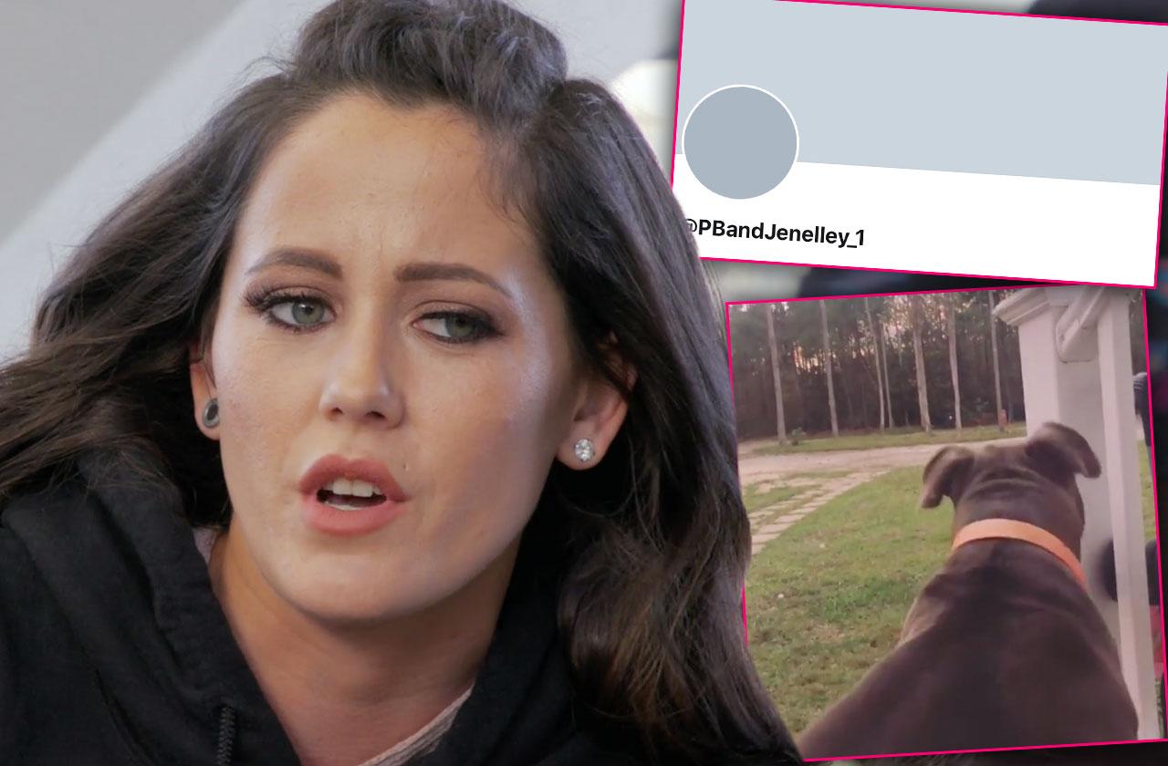 Jenelle Evans Assault Deletes Twitter