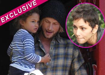 //gabriel aubry custody halle berry win