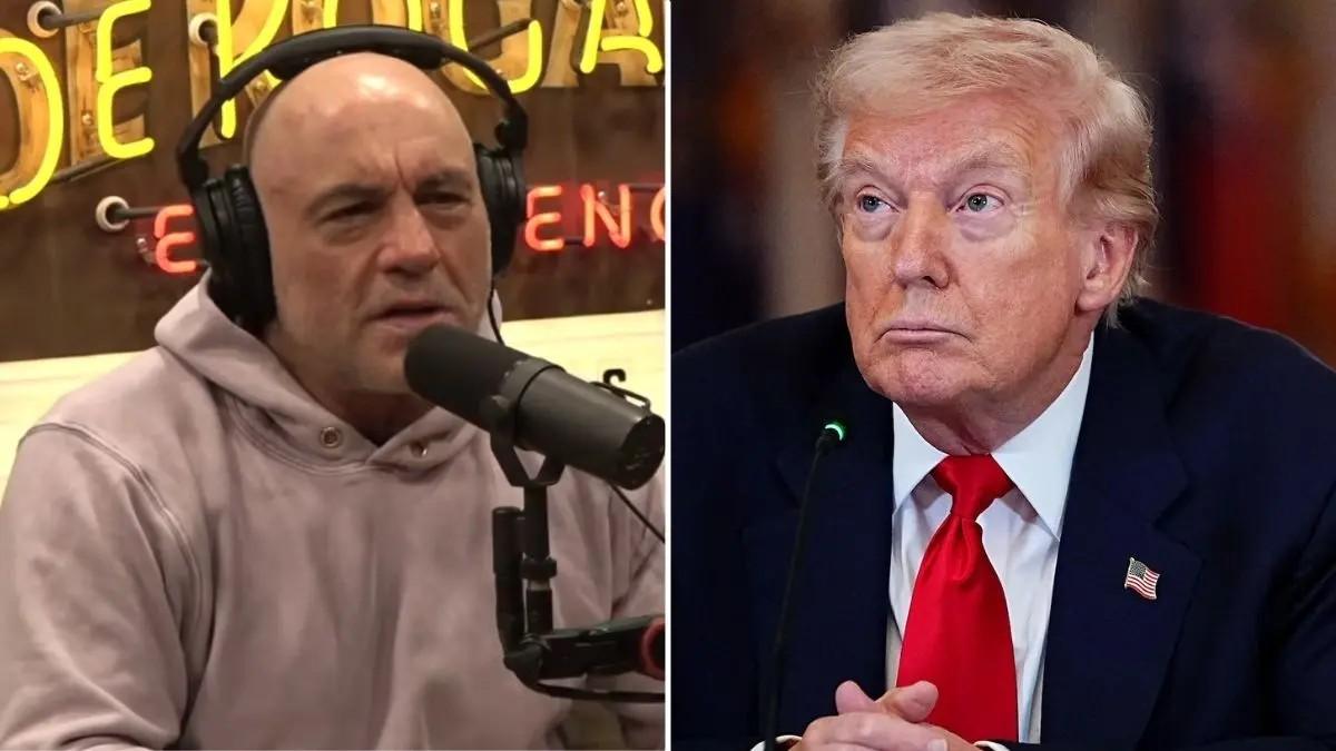 joe rogan, donald trump
