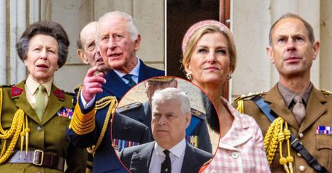 Split photos of Princess Anne, King Charles, Princes Andrew and Edward with Sophie, Duchess of Edinburgh