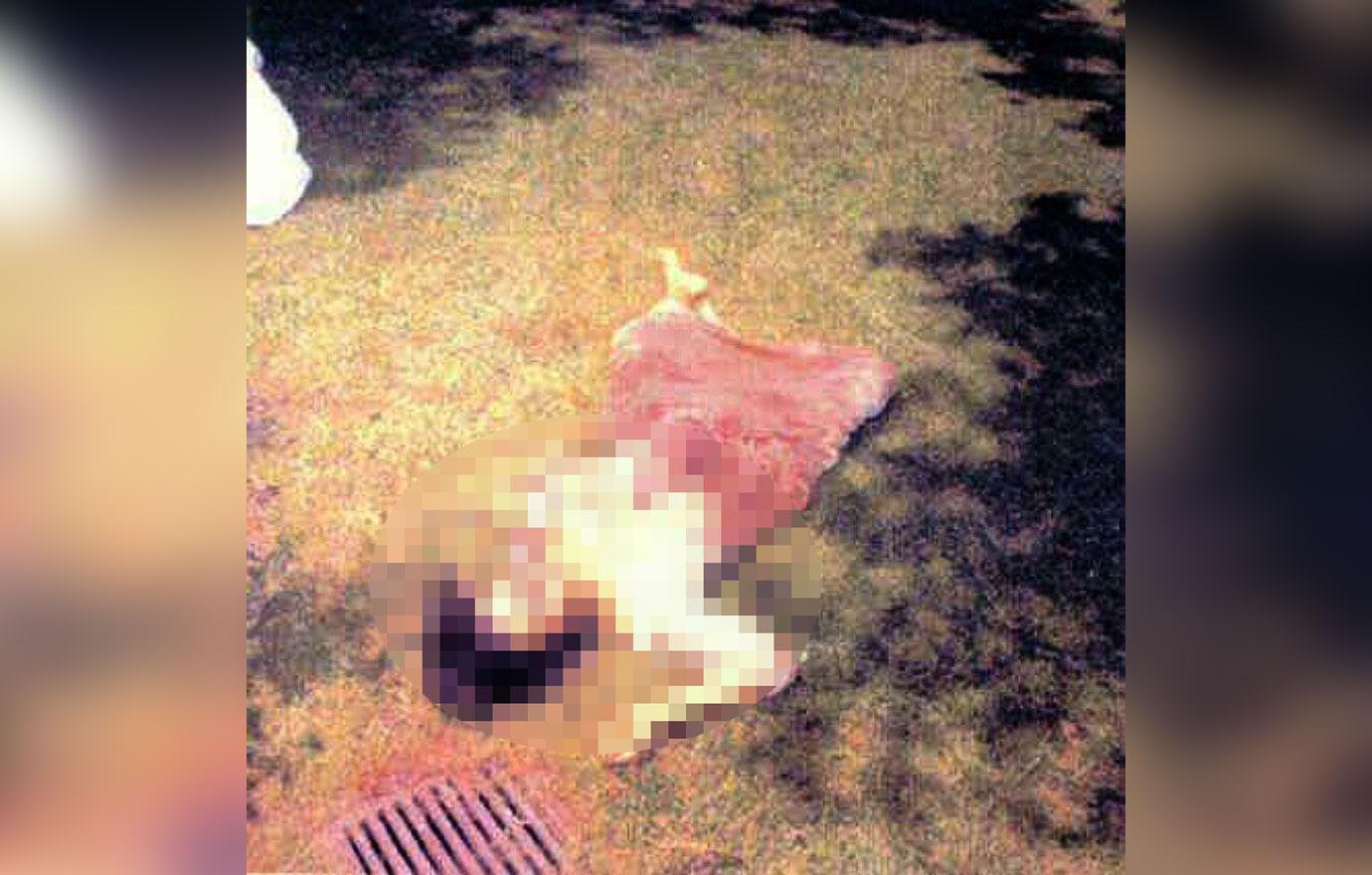 //Charles manson dead crime scene photos jessica folger body