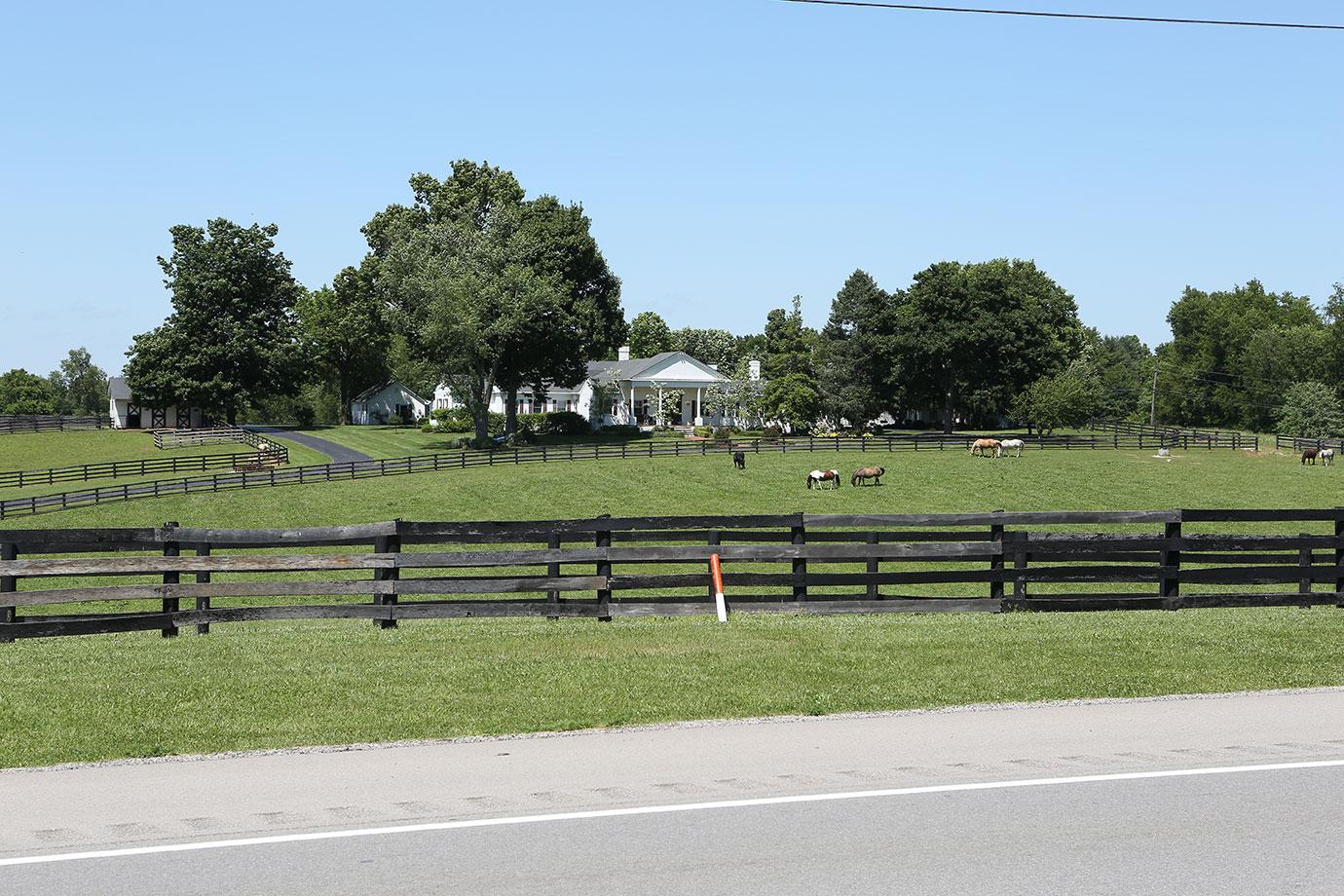 Johnny Depp Family Farm Feud