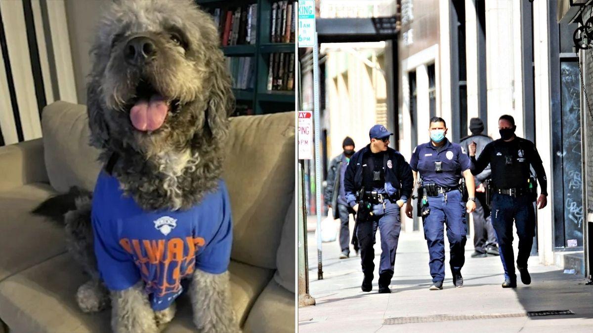 A photo of Jameson the dog alongside a photo of LAPD officers