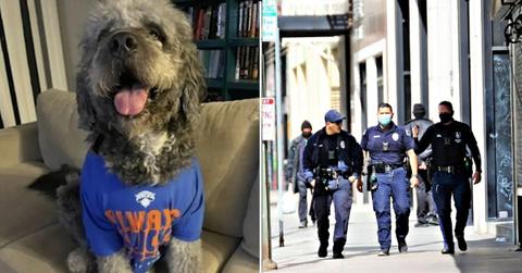A photo of Jameson the dog alongside a photo of LAPD officers