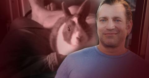 //dimitri diatchenko rabbit