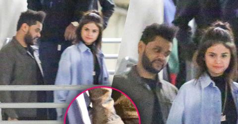 //selena gomez the weeknd dating holding hands pp