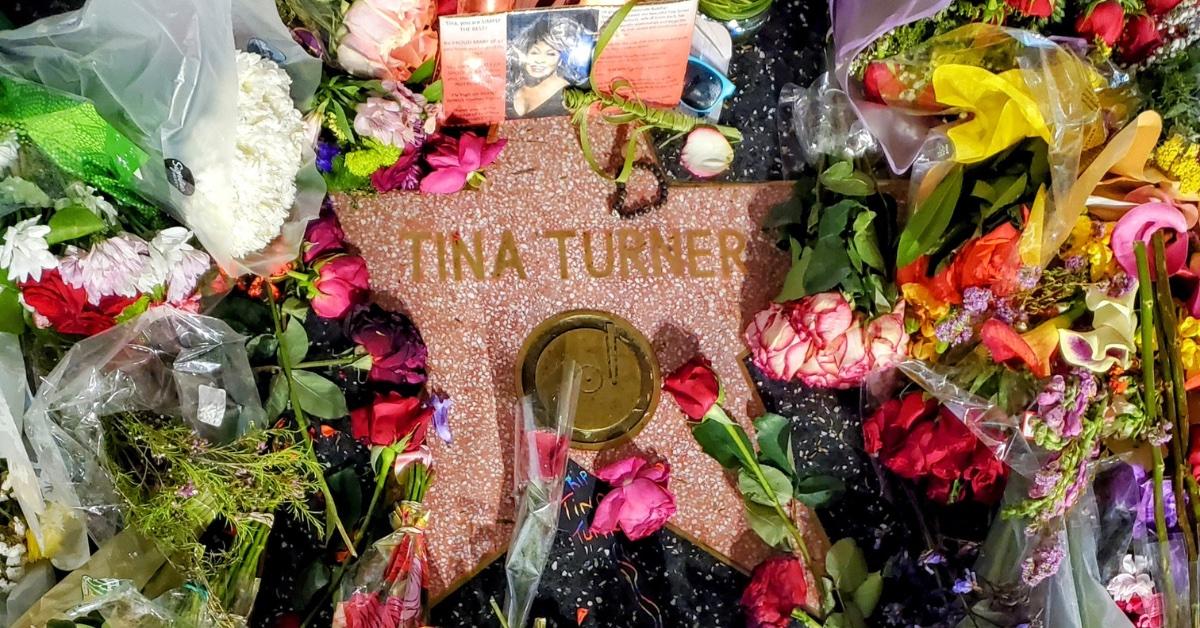 tina turner lost her voice before death