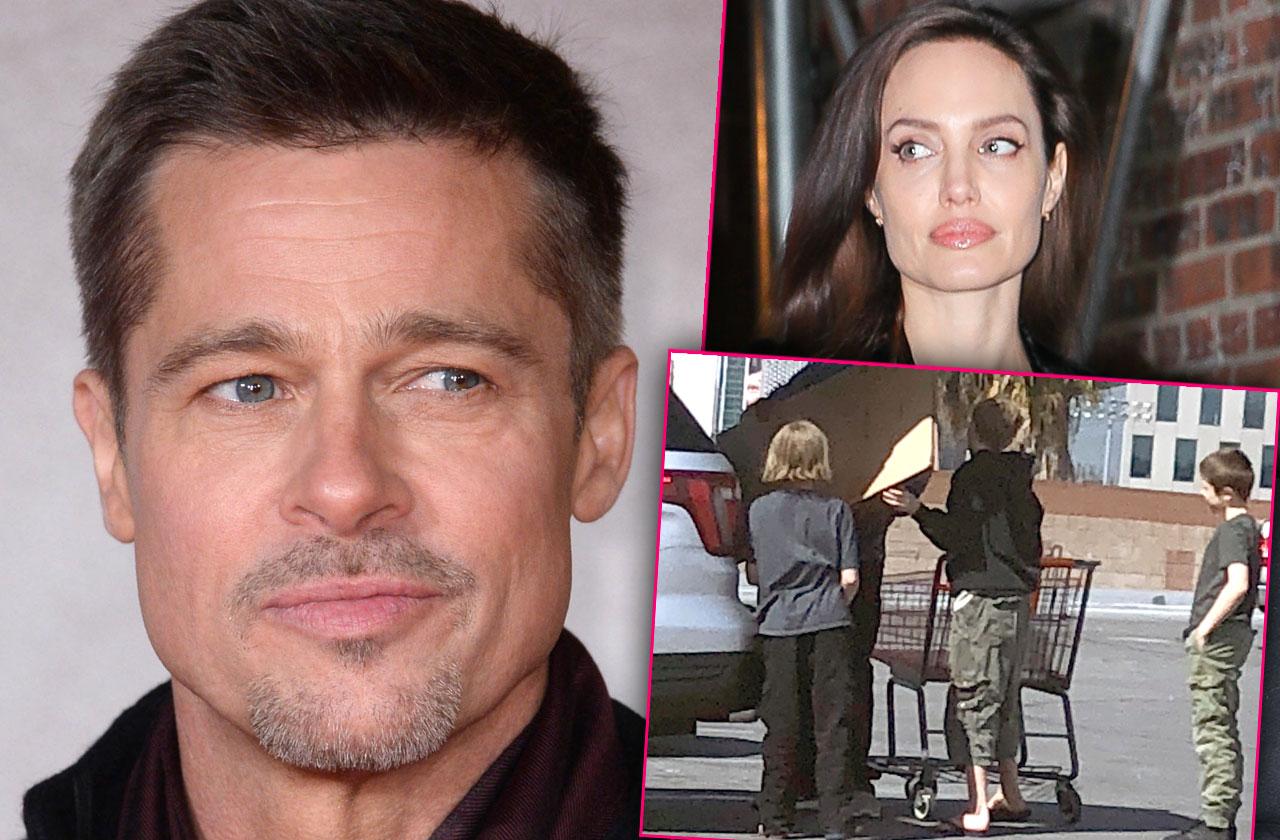 Brad Pitt Angelina Jolie Custody Fight Demands Judge Lock Court Documents