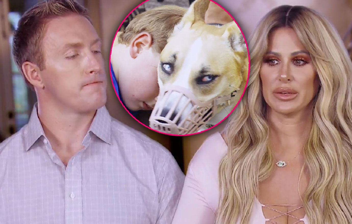 Kim Zolciak Son Sees Dog That Mauled Him