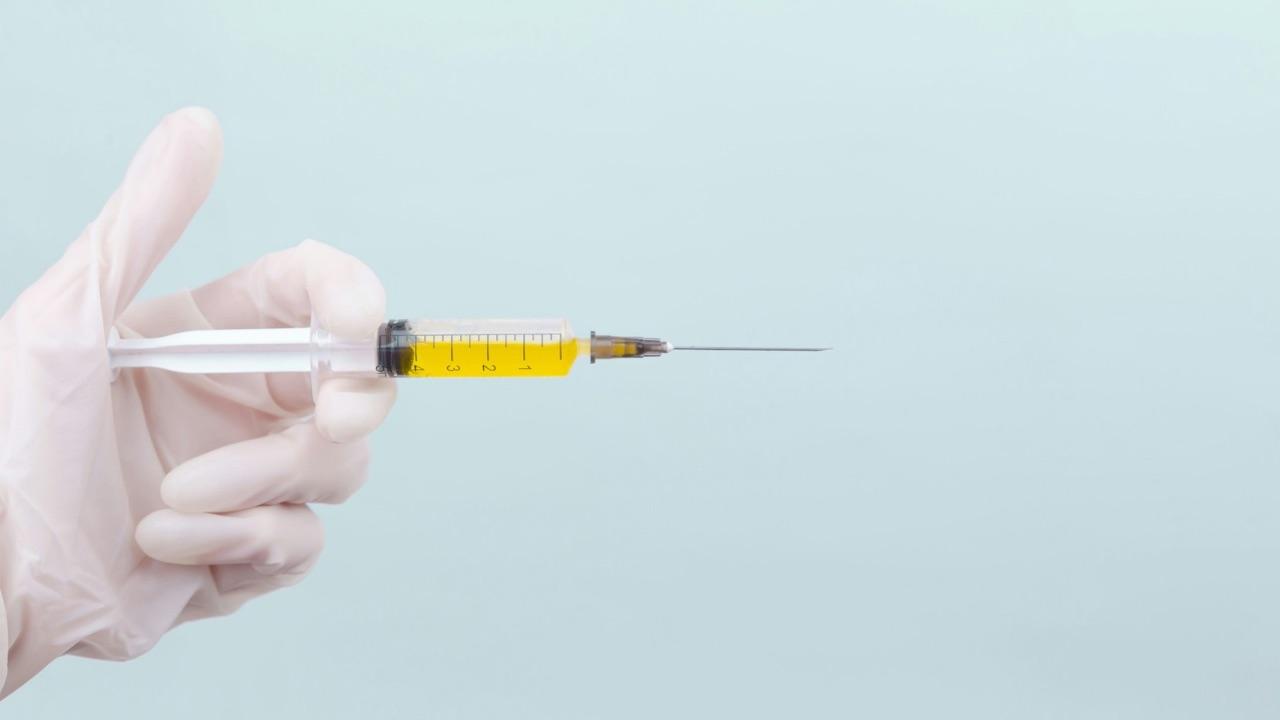 Needle