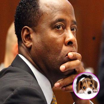 //conrad murray propofol beagle splash