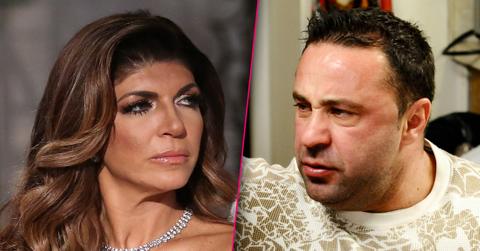 teresa giudice refused court for joe deportation blame