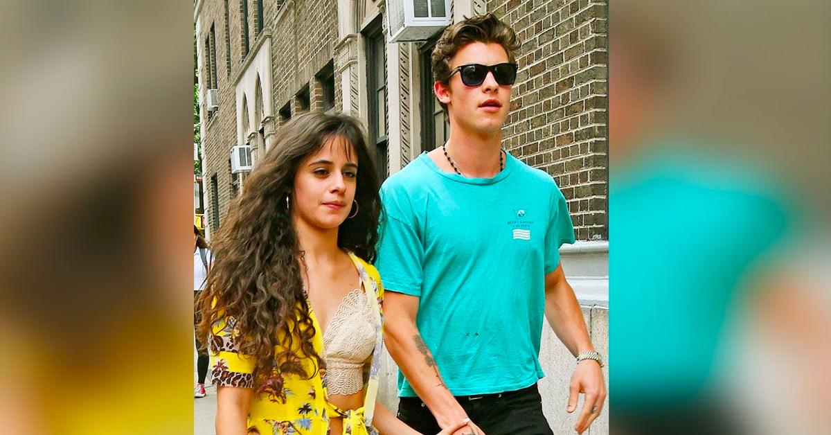 Camila Cabello Sells Hollywood Hills Home After Being Dumped By Shawn Mendes