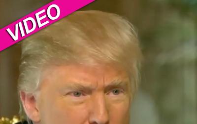 //trump meyers walters post