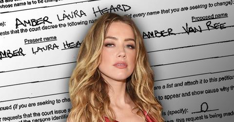 //amber heard domestic partnership tasya van ree