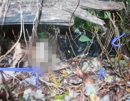 PHOTOS: Graphic Crime Scene Pictures Introduced Into Evidence