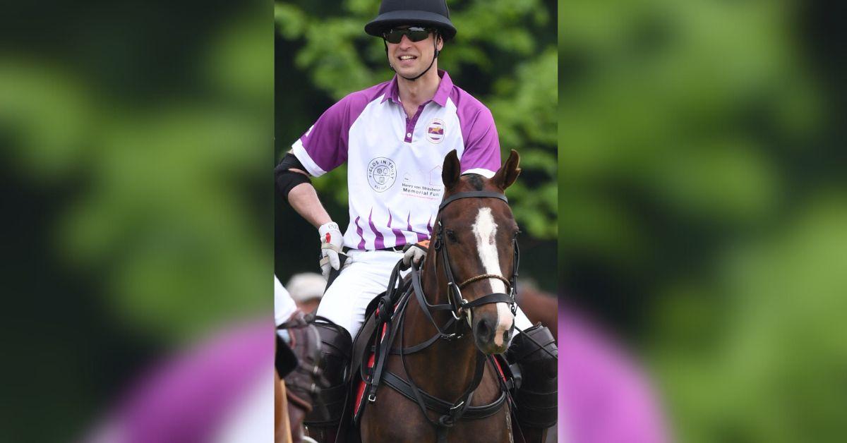 prince william horse
