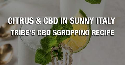 Tribe's CBD Sgroppino Recipe