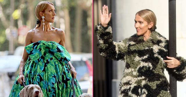 Left, Celine Dion wears a green dress. Right, Celine Dion wears a shaggy camouflage jacket.