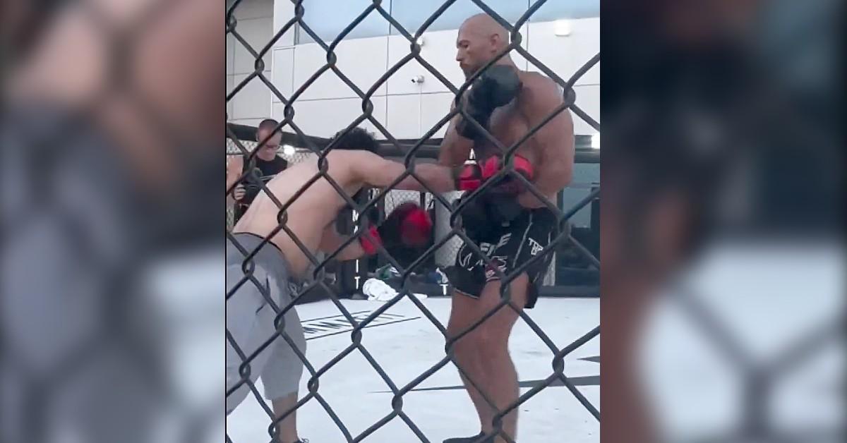 andrew tate boxing