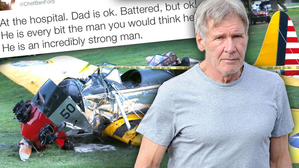 Harrison Ford Plane Crash